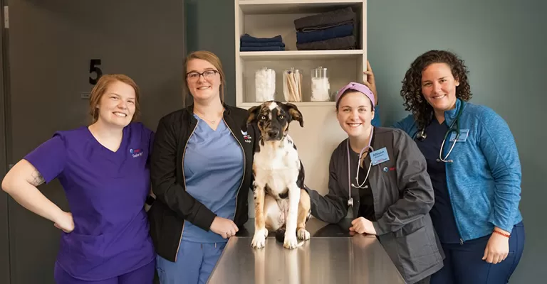 Our Mission Cincinnati s Pet Urgent Care